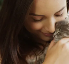 Cara Merawat Kitten Tanpa Induk Agar Tumbuh Sehat Yuk Simak