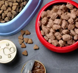Jenis-Jenis Makanan Anjing