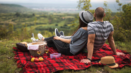 Couple having picnic