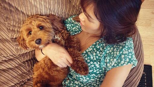 Woman cuddling a cockerpoo