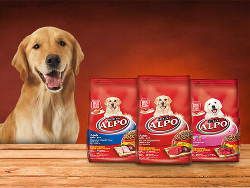 alpo-dog