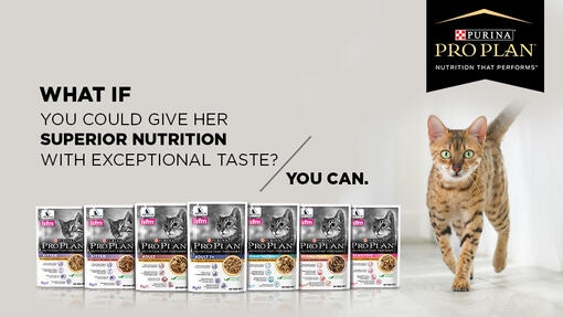Pro Plan | Purina