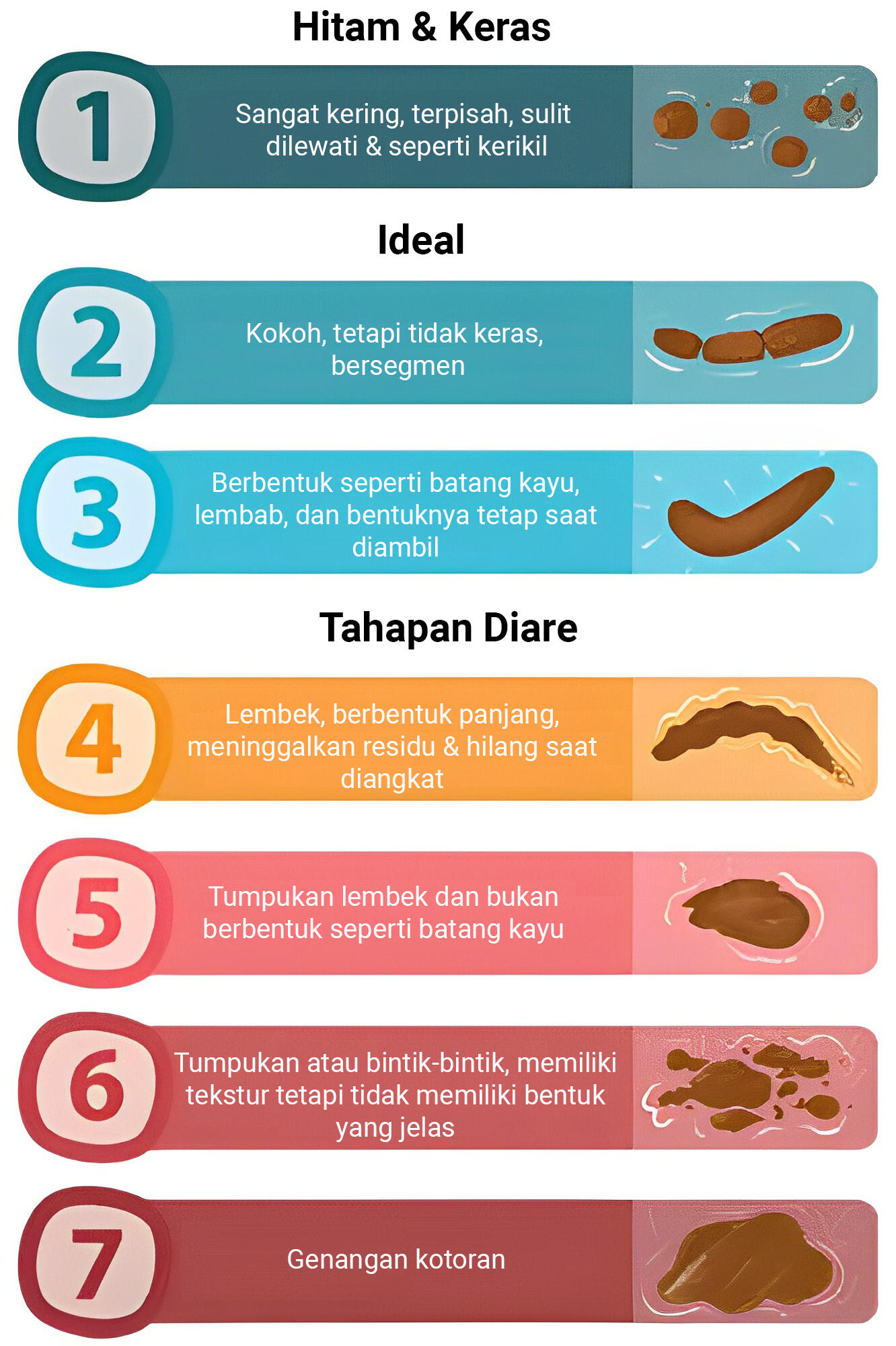 Dog Poop Consistency chart Dog Poop Consistency chart